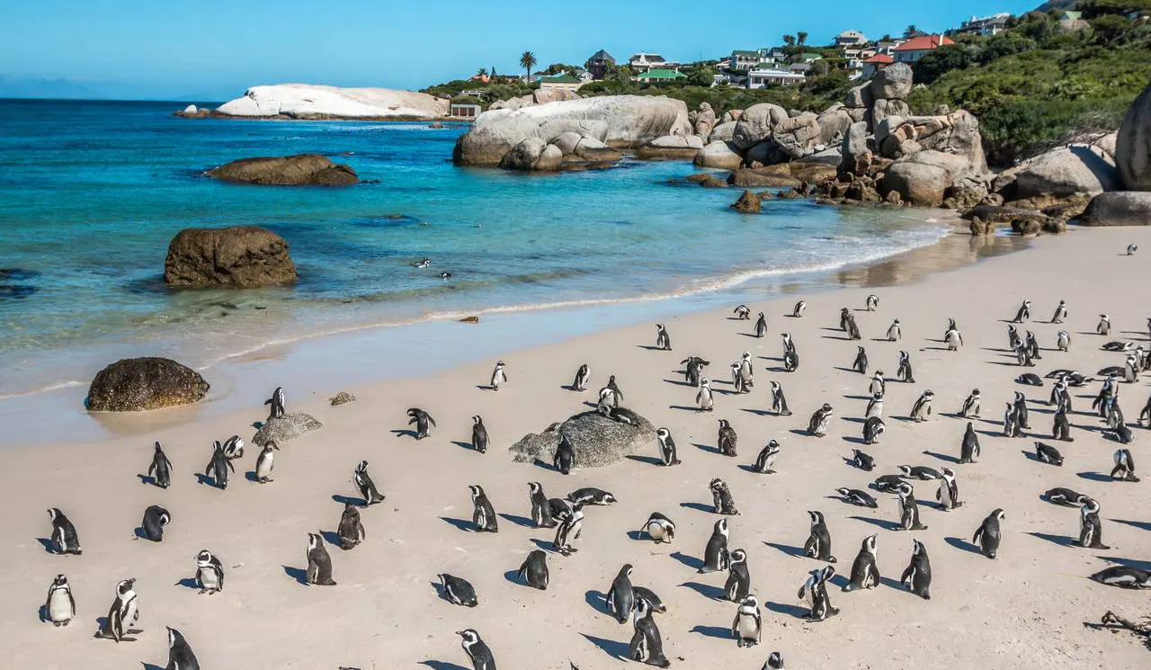 camps bay cape town